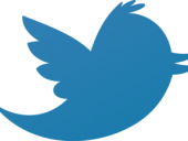 Logo Twitter réduit